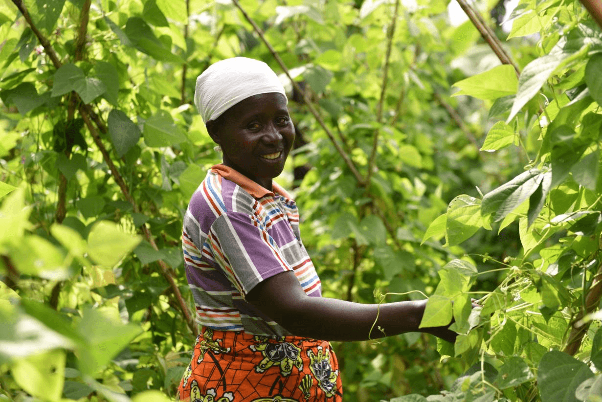 Farmers working in field